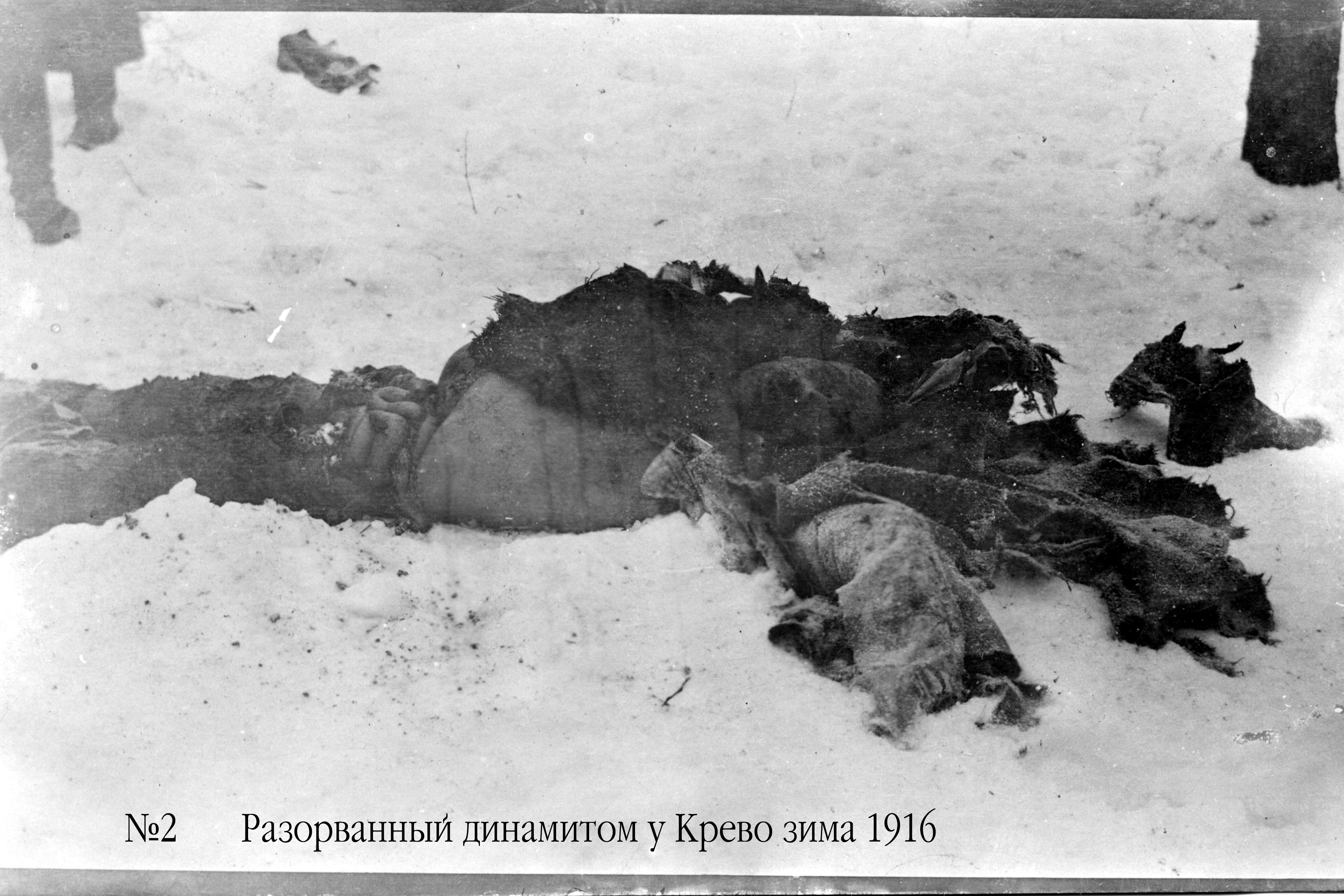 Kareivio kūnas, sudarkytas dinamito, prie Krėvos 1916 m. žiemą