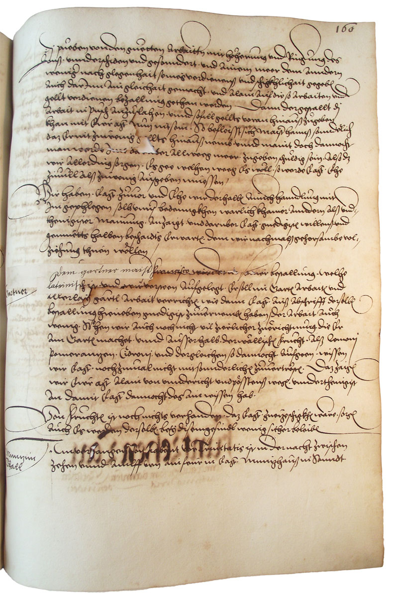 Čekijos rūmų pranešimas karaliui Ferdinandui I apie įvairius reikalus, tarp jų – naują sodą ir sodininko Pranciškaus darbą. 1538 VI 27. NA