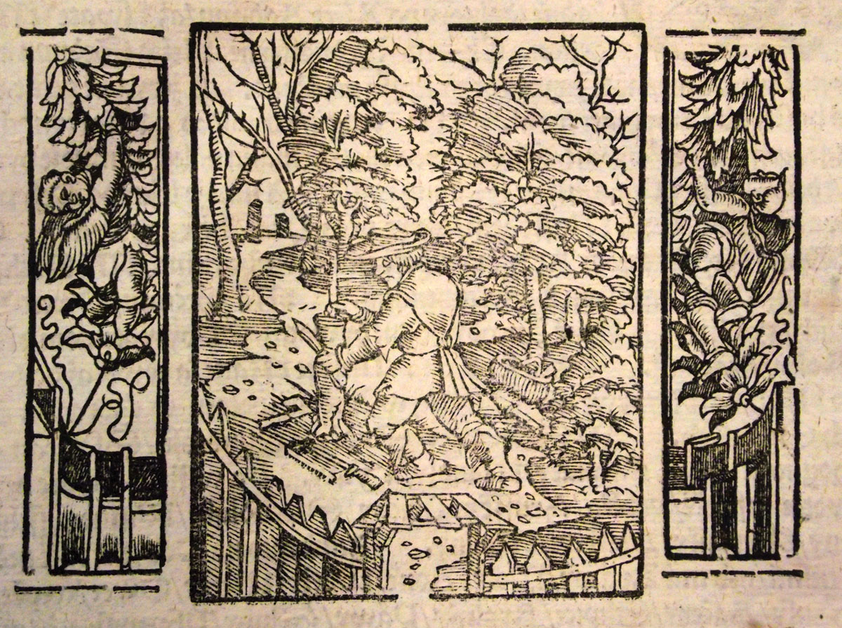 A gardener. 1554. NK